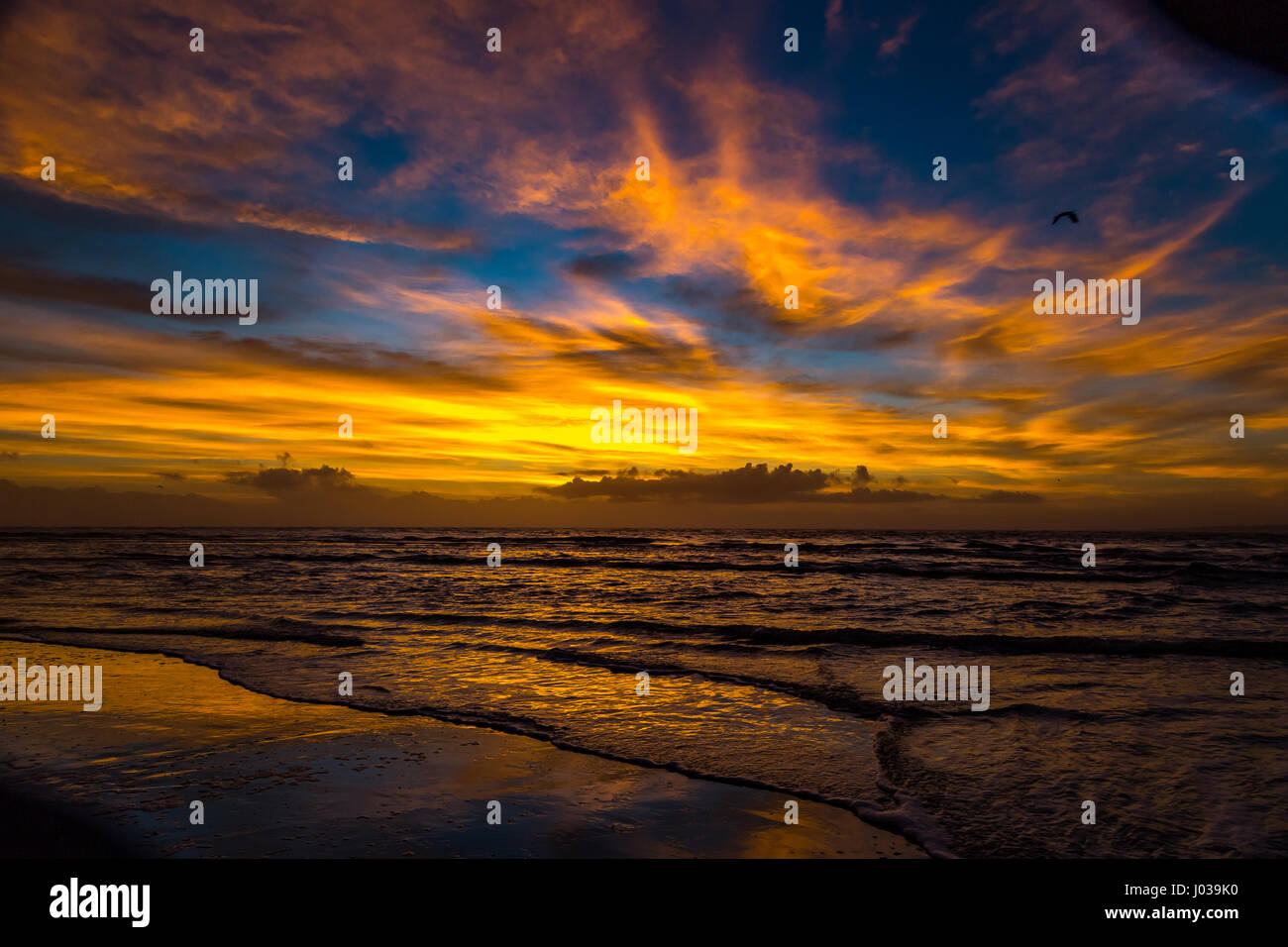 Il sole sorge presso la spiaggia su una mattina nuvoloso su Amelia Island, Florida. Foto Stock