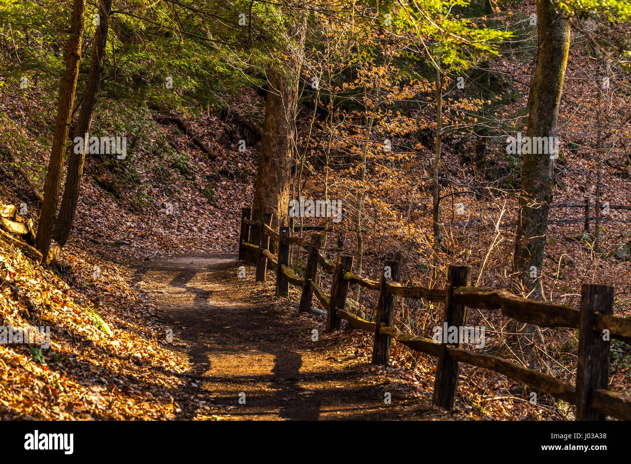Una pietra sentiero perpasseggiate accanto a Colt Creek vicino a Saluda, North Carolina. Foto Stock