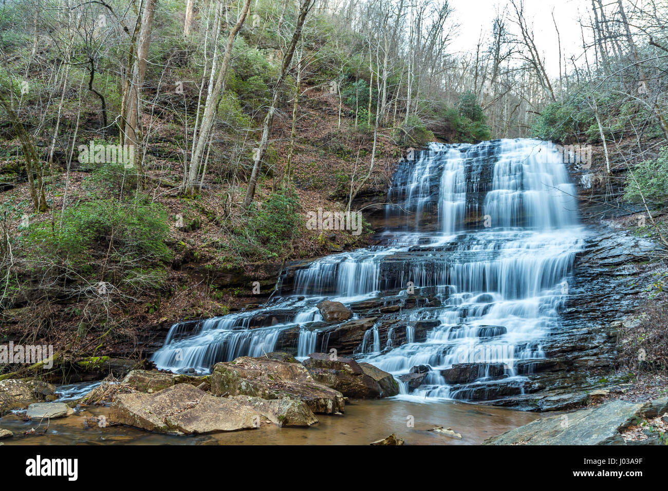 Pearsons Falls è una cascata in Colt Creek vicino a Saluda, North Carolina. Foto Stock