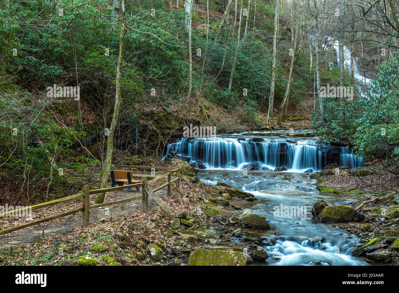 Pearsons Falls è una cascata in Colt Creek vicino a Saluda, North Carolina.5 Foto Stock