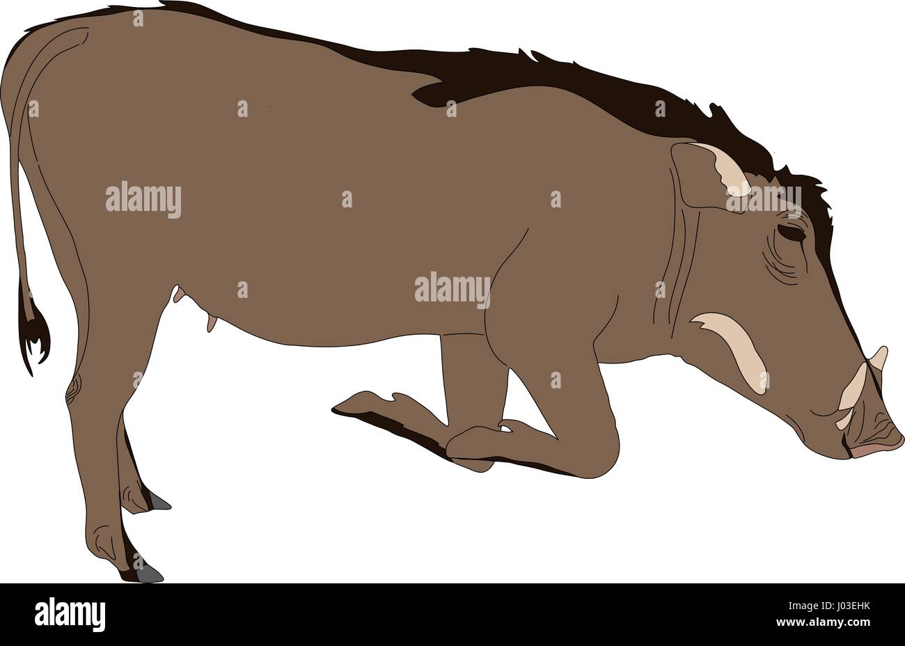 Disegnata a mano ritratto di una selvaggia warthog Illustrazione Vettoriale