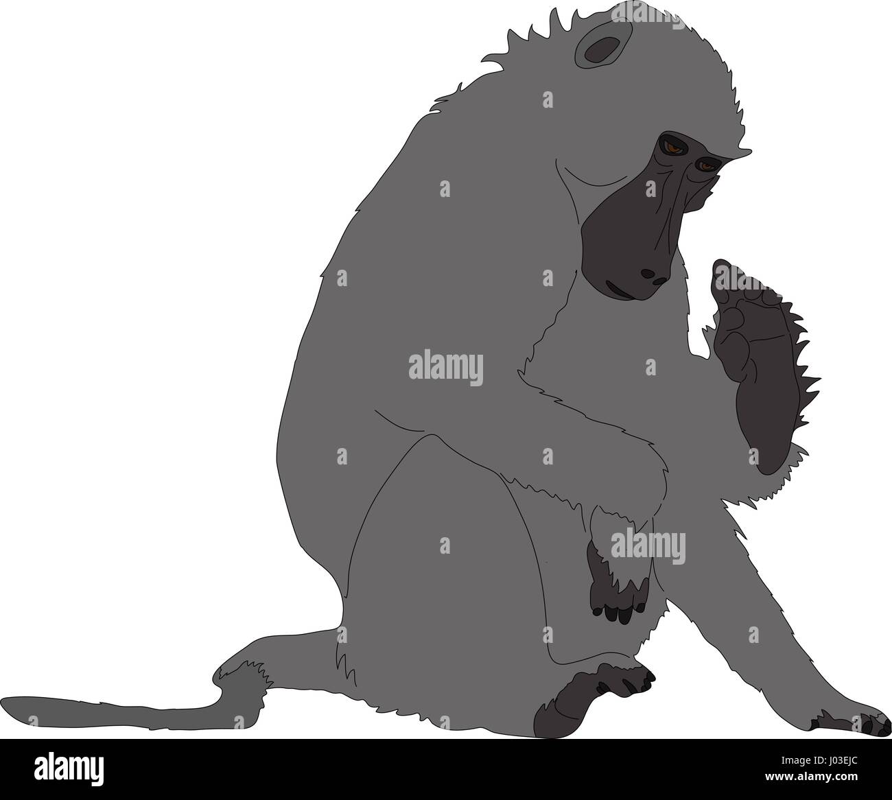 Disegnata a mano ritratto di un babbuino selvatico Illustrazione Vettoriale