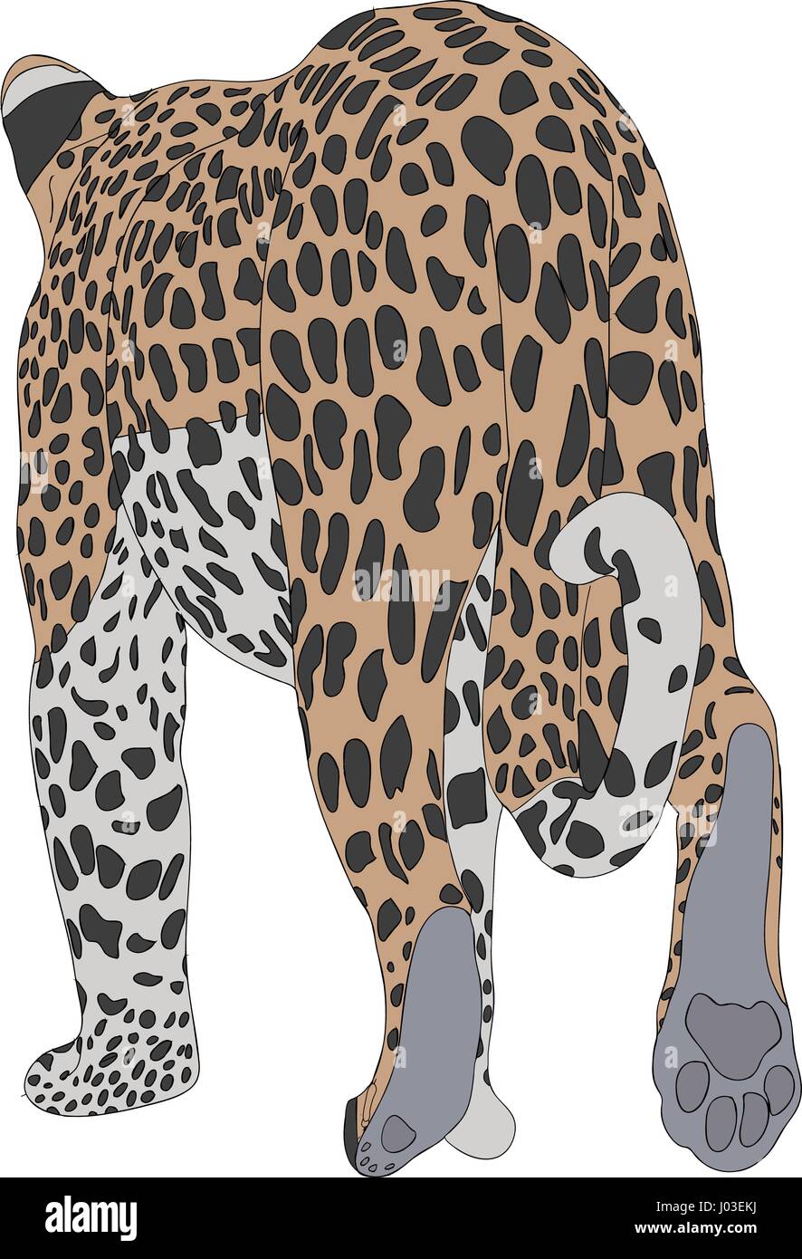 Disegnata a mano ritratto di un ghepardo selvatico Illustrazione Vettoriale