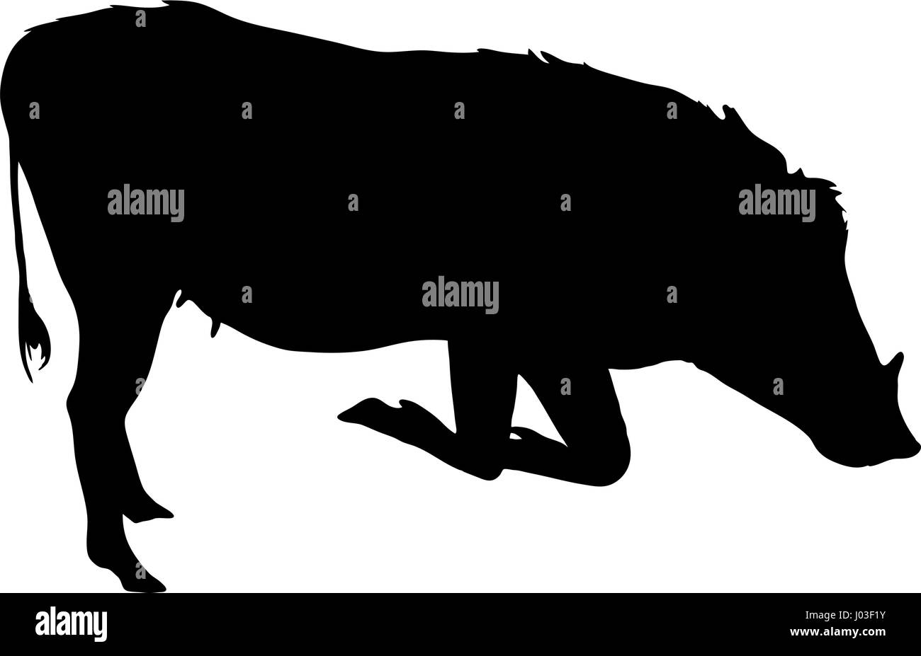 Disegnata a mano la silhouette di un selvaggio warthog Illustrazione Vettoriale