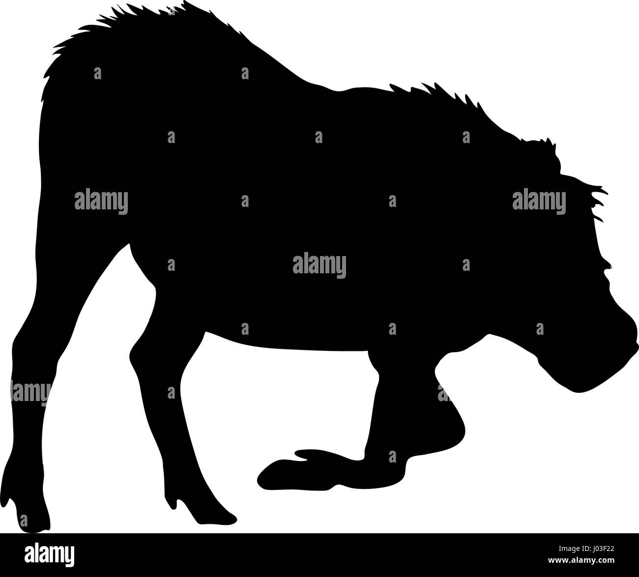 Disegnata a mano la silhouette di un selvaggio warthog Illustrazione Vettoriale