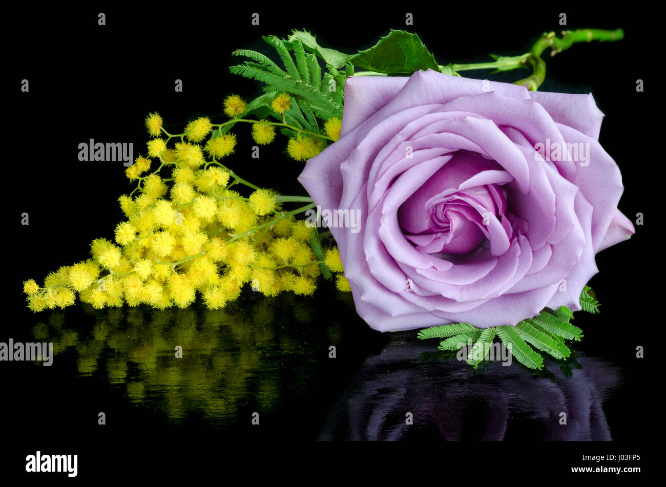I fiori sono su uno sfondo nero con la riflessione Foto Stock
