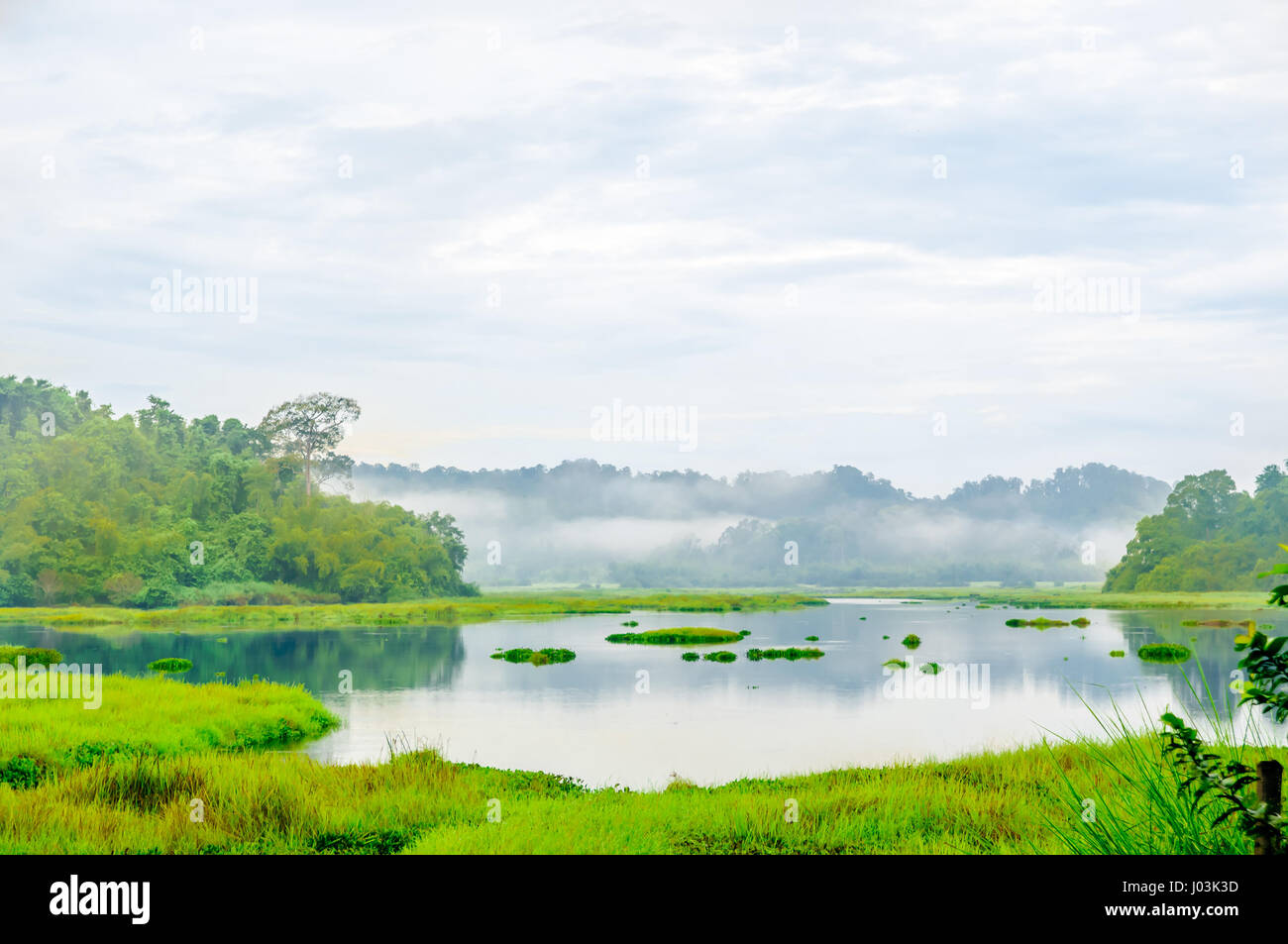 Vista sul lago di coccodrillo nella giungla di cat Tien parco nazionale in Vietnam Foto Stock