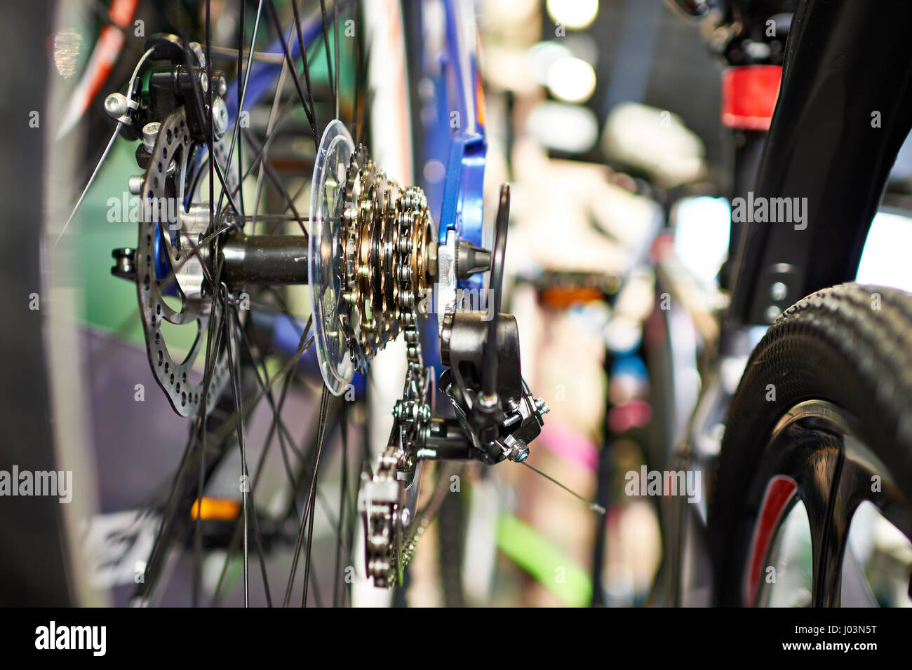 Carrello con catena ruota posteriore sport mountain bike closeup Foto Stock