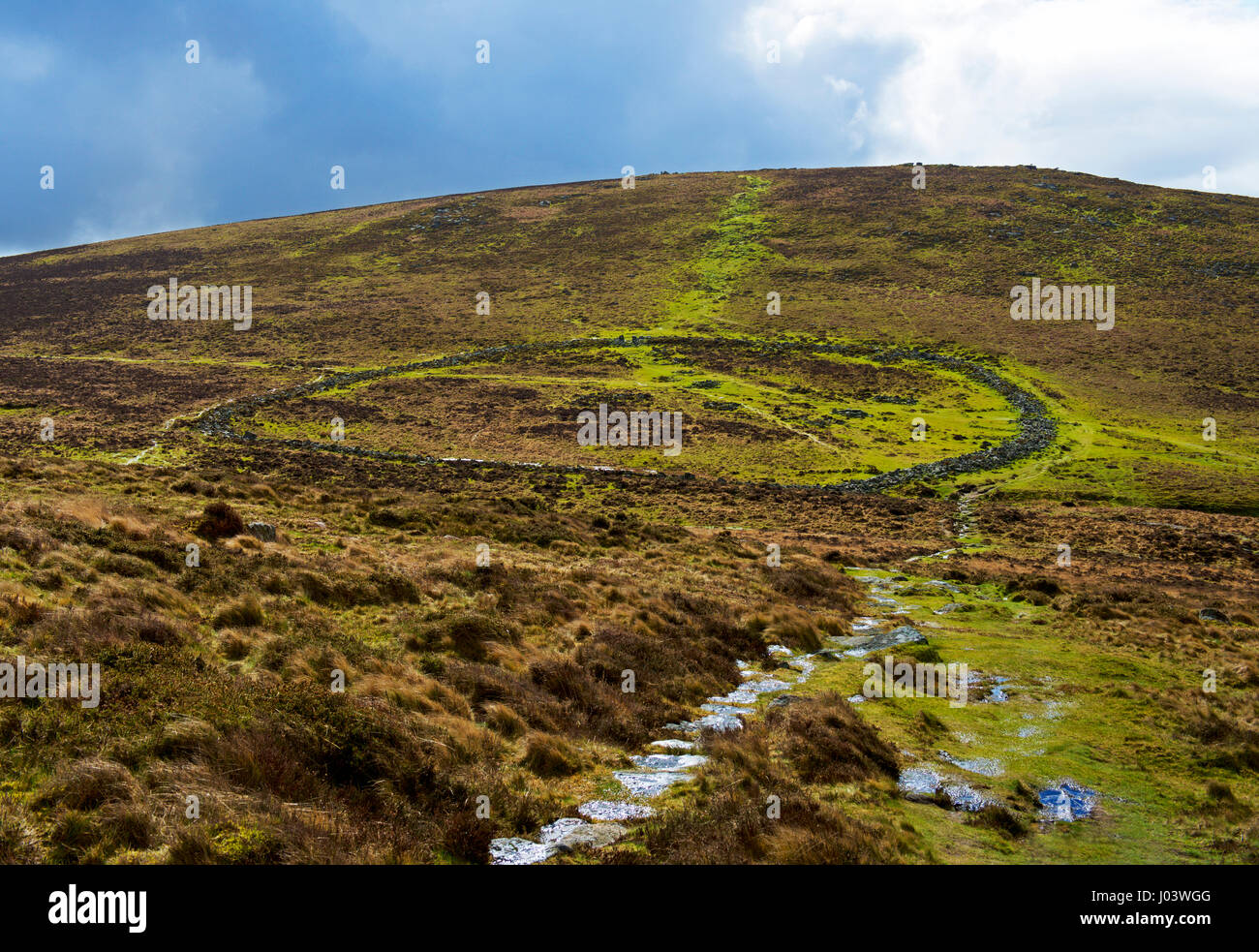 Grimspound, una età del bronzo insediamento, Parco Nazionale di Dartmoor, Devon, Inghilterra, Regno Unito Foto Stock