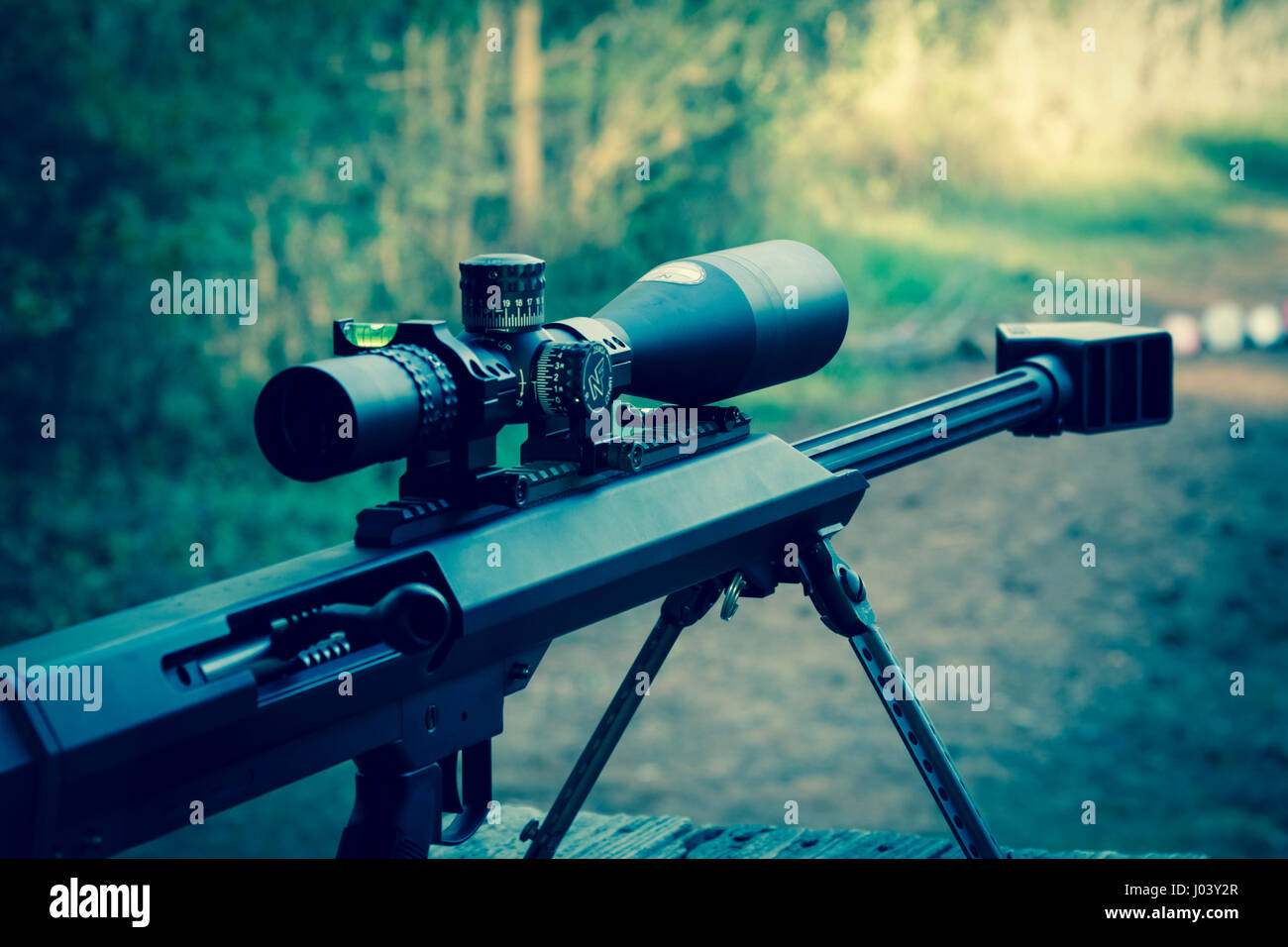 Barrett Modello 99 50 Vite calibro-azione fucile con portata a Leeds campo esterno vicino a Carlisle, SC. Foto Stock