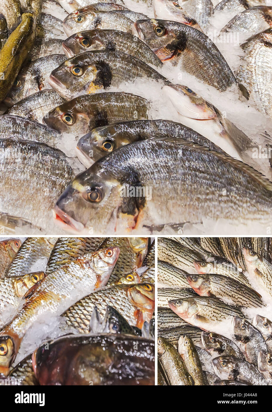 Collage di vari pesci memorizzati su ghiaccio al mercato del pesce Foto Stock