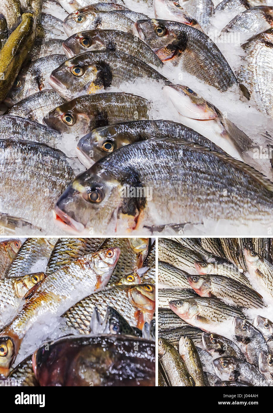 Collage di vari pesci memorizzati su ghiaccio al mercato del pesce Foto Stock