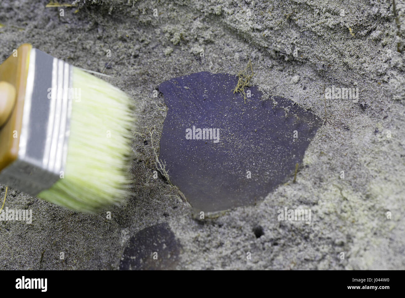 Fase di lavoro archeologico-un sottile la cancellazione del sito,concentrarsi sulla ricerca Foto Stock
