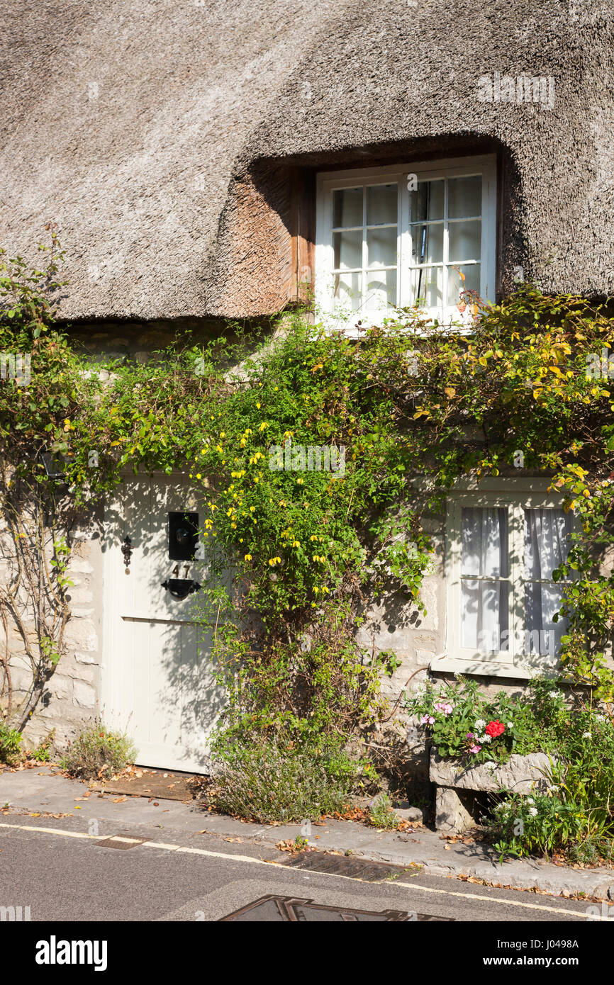 Un cottage con tetto di paglia nel villaggio di Corffe Castello, Dorset nel luminoso pomeriggio di sole che mostra una porta e due finestre. Rambling rose sono visti. Foto Stock