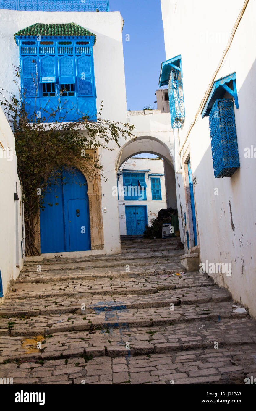 Tutto bianco con finiture blu, Moorish (o eventualmente Greco) ispirato cittadina collinare di Sidi Bou Said è una colonia di artisti e meta turistica molto tormentare solo n. Foto Stock