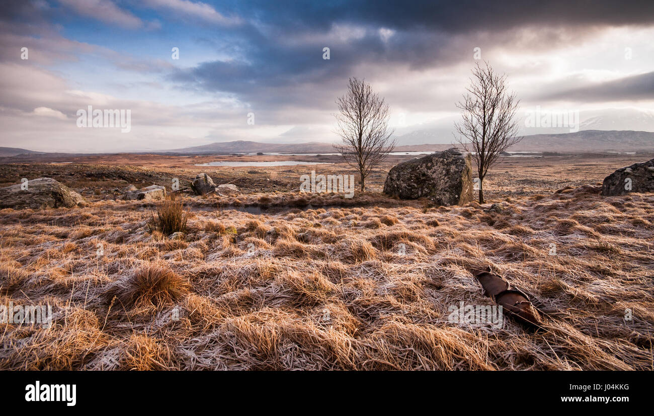 Grandi massi erratici stand nella grande morena glaciale paesaggio delle paludi di Rannoch Moor sotto le montagne delle Highlands della Scozia. Foto Stock