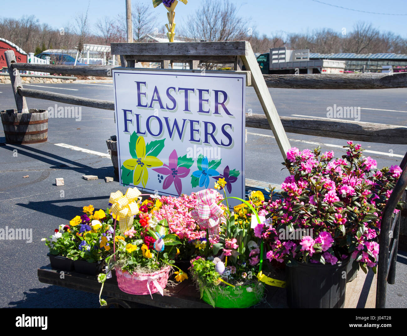 Segno a una fattoria di vendita del mercato dei fiori di Pasqua Foto Stock