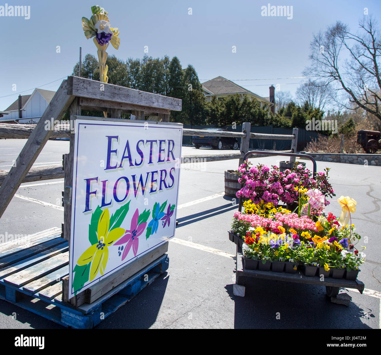 Segno a una fattoria di vendita del mercato dei fiori di Pasqua Foto Stock