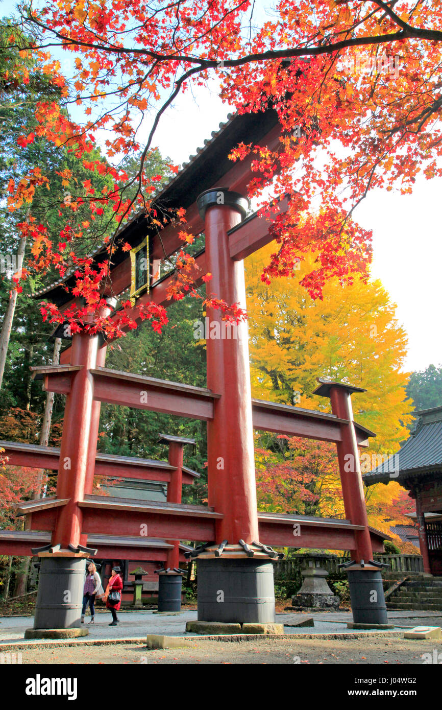 Fuji Sengen jinja sacrario scintoista Fujiyoshida city Yamanashi Giappone Foto Stock