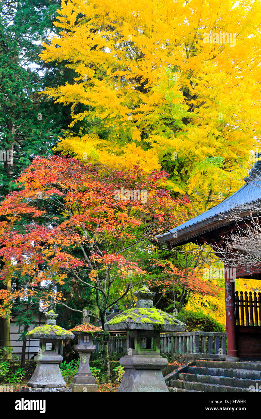 Fuji Sengen jinja sacrario scintoista Fujiyoshida city Yamanashi Giappone Foto Stock