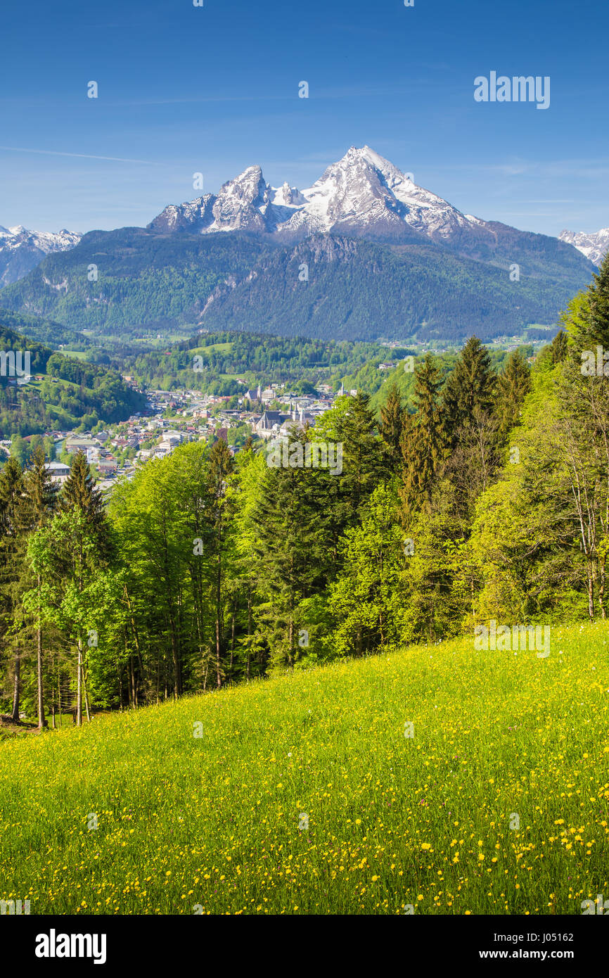 Vista panoramica di idilliaco paesaggio di montagna con il famoso Watzmann picco di montagna e prati in fiore in una bella giornata di sole con cielo azzurro in primavera Foto Stock