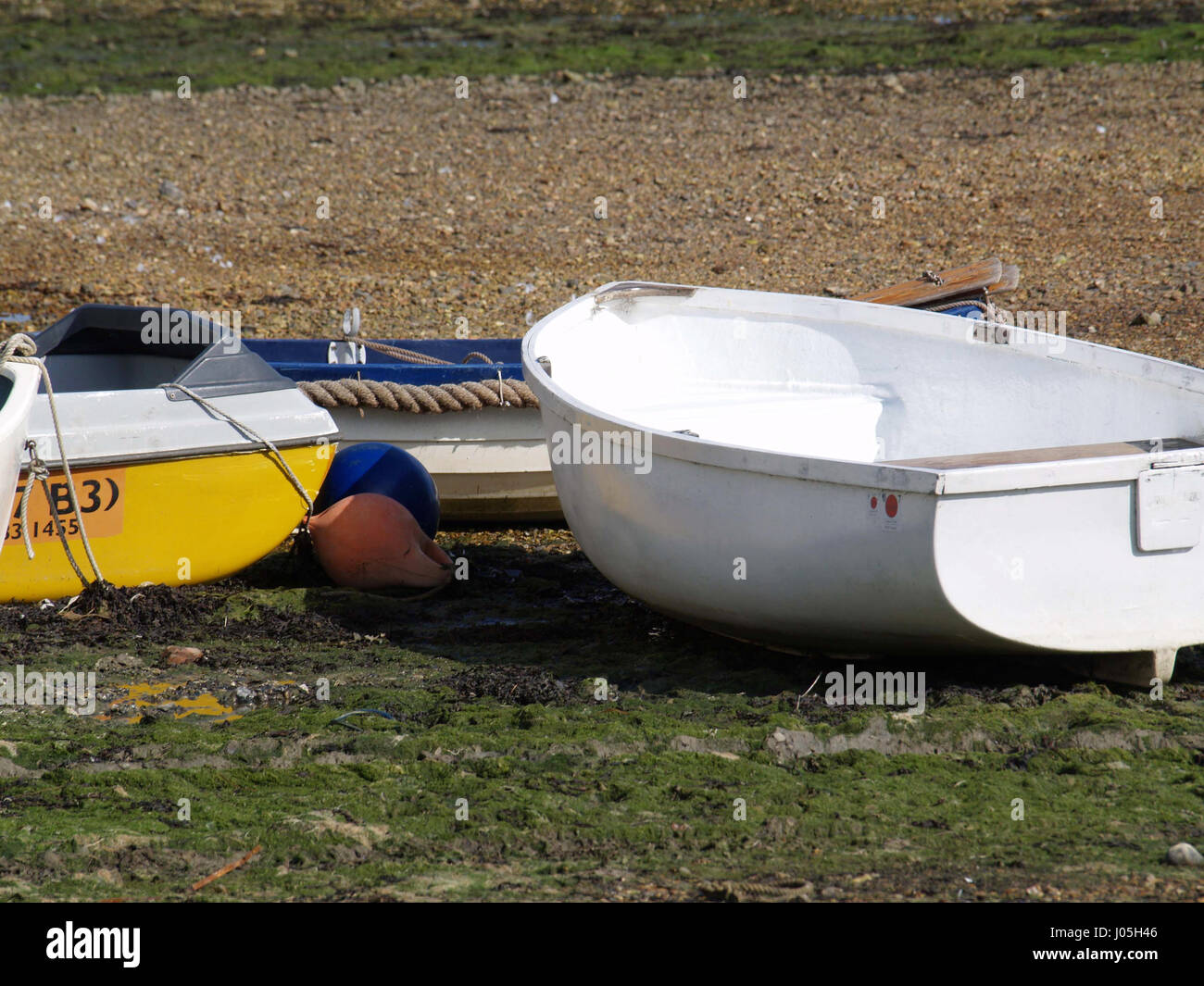 Barche a remi bassa marea a Bosham Harbour, Hampshire, Inghilterra, Regno Unito Foto Stock