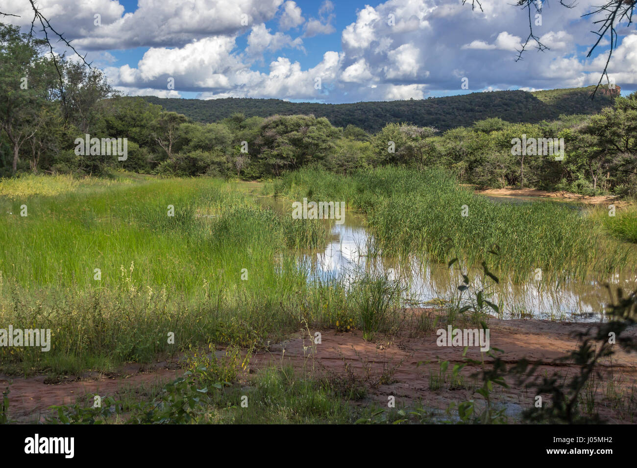 Foto orizzontale su un laghetto nel Marakele national park Foto Stock
