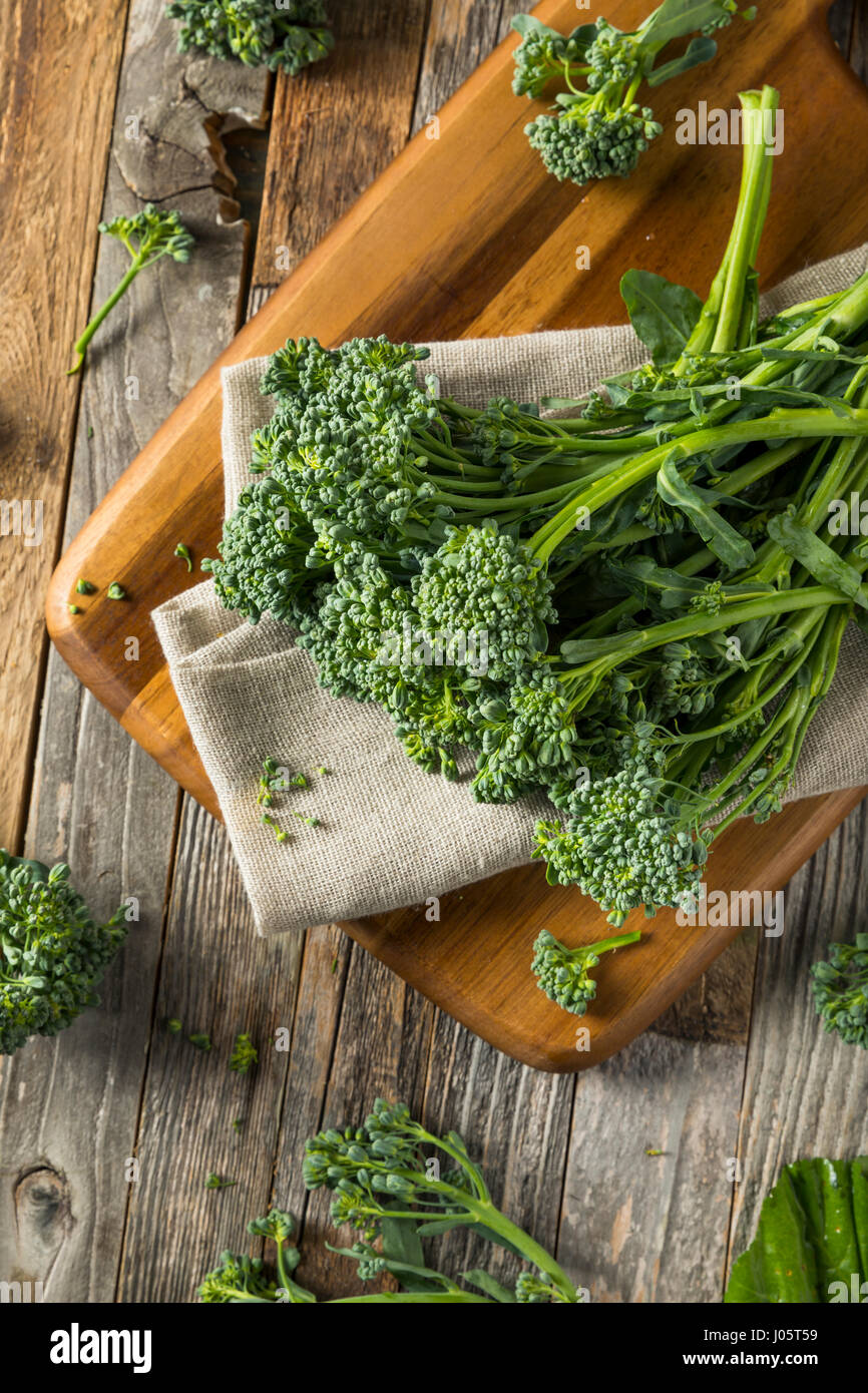 Materie verde Broccolini organico pronto a cucinare con Foto Stock