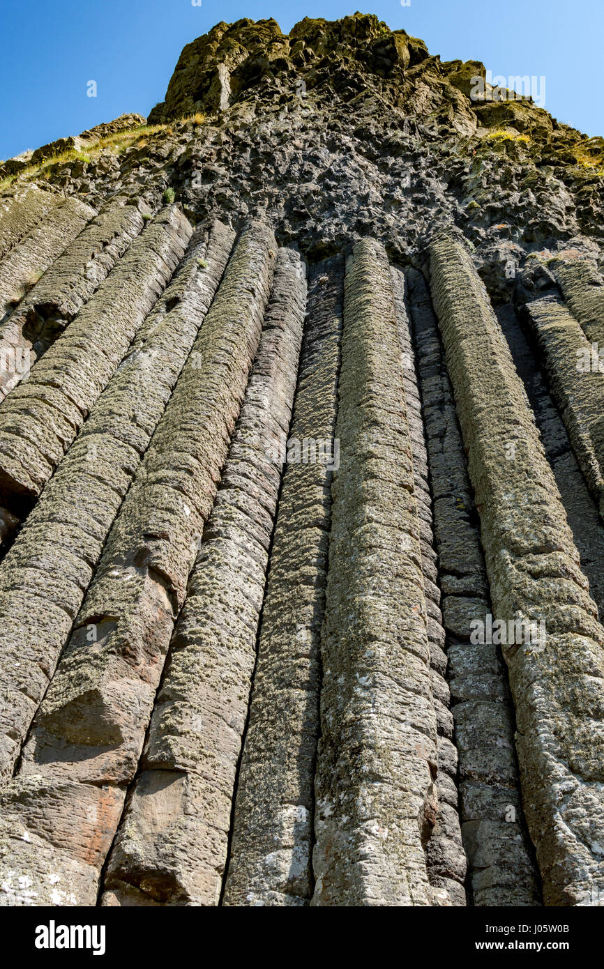 Colonne di basalto, noto come "Il Gigante organo dell', Vicino Il Selciato del gigante, da Causeway Coast sentiero, County Antrim, Irlanda del Nord, Regno Unito Foto Stock