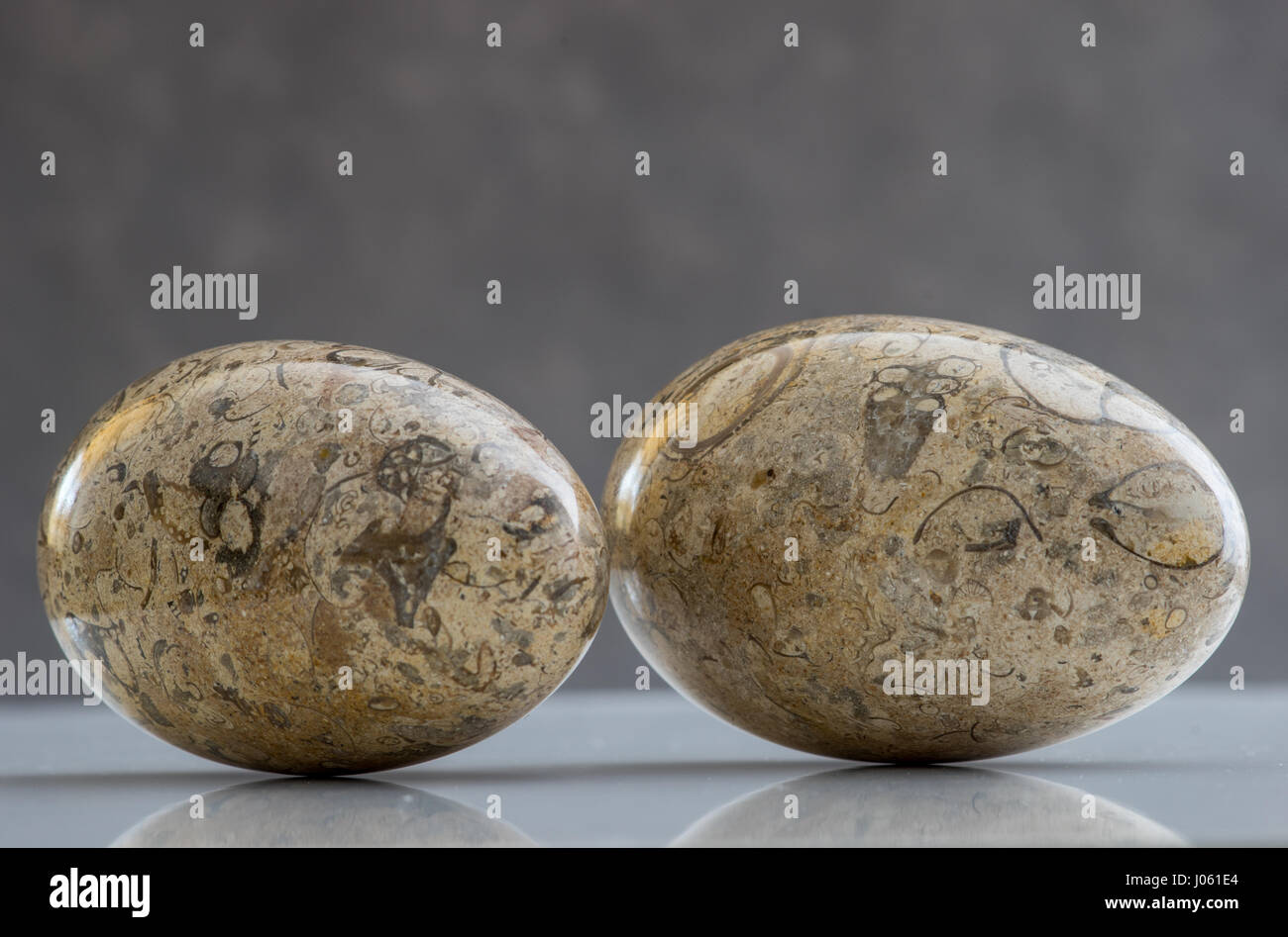 Onyx uova su uno sfondo grigio Foto Stock