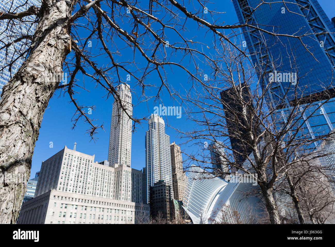 Occhio, World Trade Center Hub Foto Stock