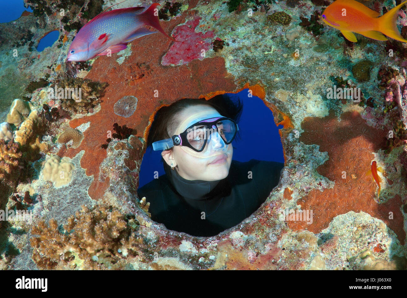 Un subacqueo coetanei attraverso il relitto. Lugubre foto subacquee mostrano all'interno del relitto della sunken British Guerra Mondiale due nave SS Thistlegorm il settantacinquesimo anniversario del suo affondamento. La serie di immagini che mostrano i resti arrugginiti della marina mercantile carico della nave che include motociclette, camion dell'esercito e di un aeromobile a elica. Altre foto mostrano come la vita di mare sono state che popolano il relitto. Foto Stock