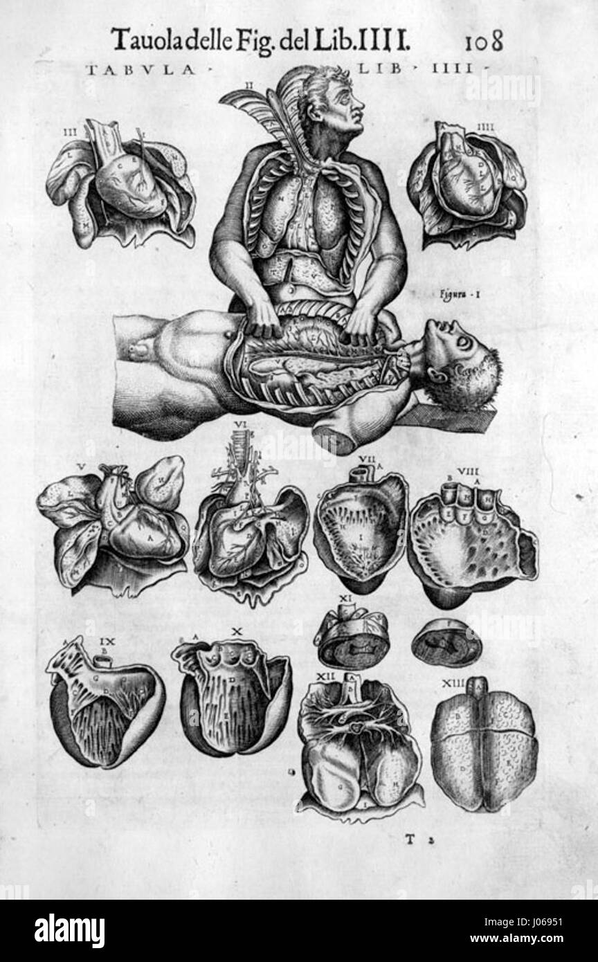"Valverde Heart Lungs" è un'illustrazione medica che raffigura il cuore e i polmoni umani, mostrando le loro caratteristiche anatomiche e la loro relazione. L'opera fornisce una rappresentazione educativa di questi organi vitali nella fisiologia umana. Foto Stock