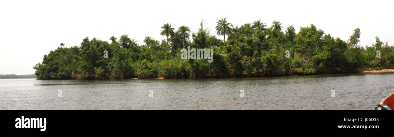 MONKEY ISLAND, LIBERIA: festa i tuoi occhi su questo paradise island dove gli unici abitanti sono scimpanzé. Le immagini mostrano l'affascinante scimpanzé provenienti per salutare il loro amico umano come egli li porta il cibo fresco forniture dalla sua canoa. Altri SNAP mostrano le grandi scimmie immergendo le loro dita dei piedi in acqua, huddling intorno a recuperare gli eventi del giorno, mentre una figura solitaria può essere visto tenendo in un albero alto vista dell'oceano mentre lui finisce il suo pranzo. Gioventù irlandese lavoratore Marie di potenza (27) è stato uno dei quattro fortunati turisti sul scavata canoe di legno ed era in grado di scattare questi incredibili scene di Foto Stock