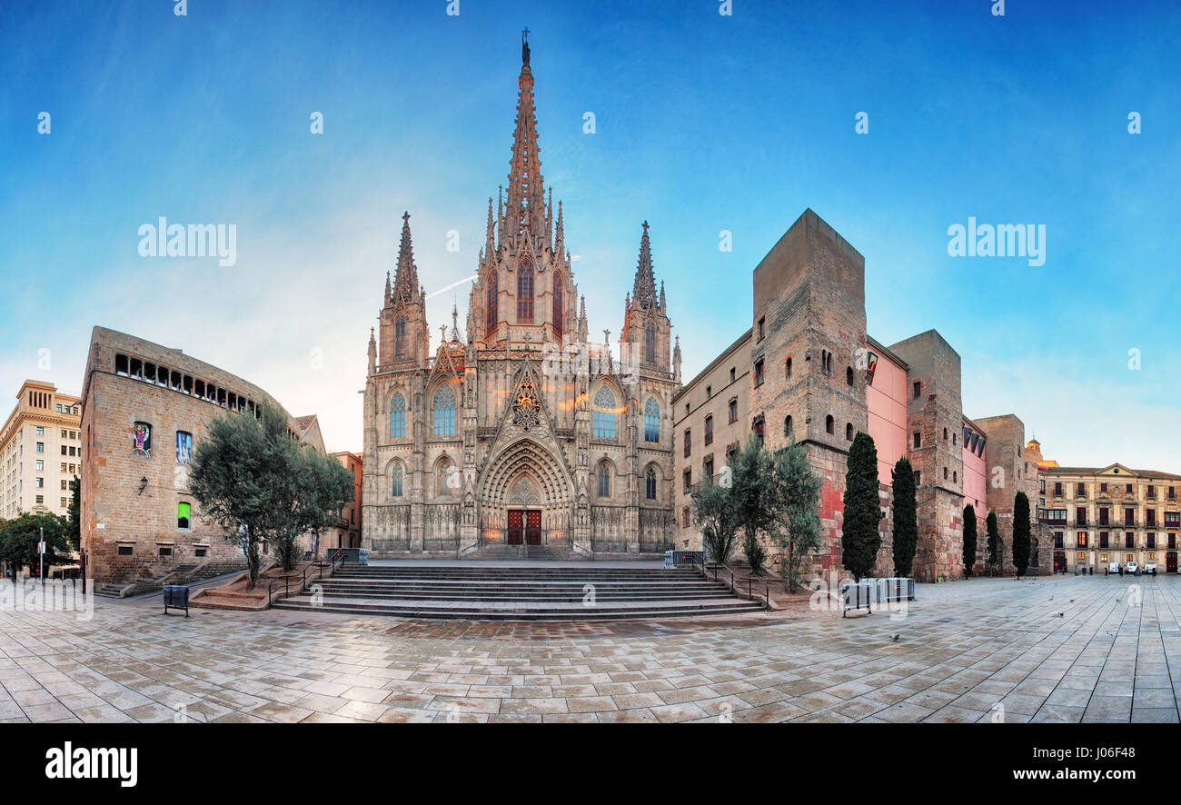 Panorama della cattedrale di Barcellona. Spagna. Barrio Gotico Foto Stock