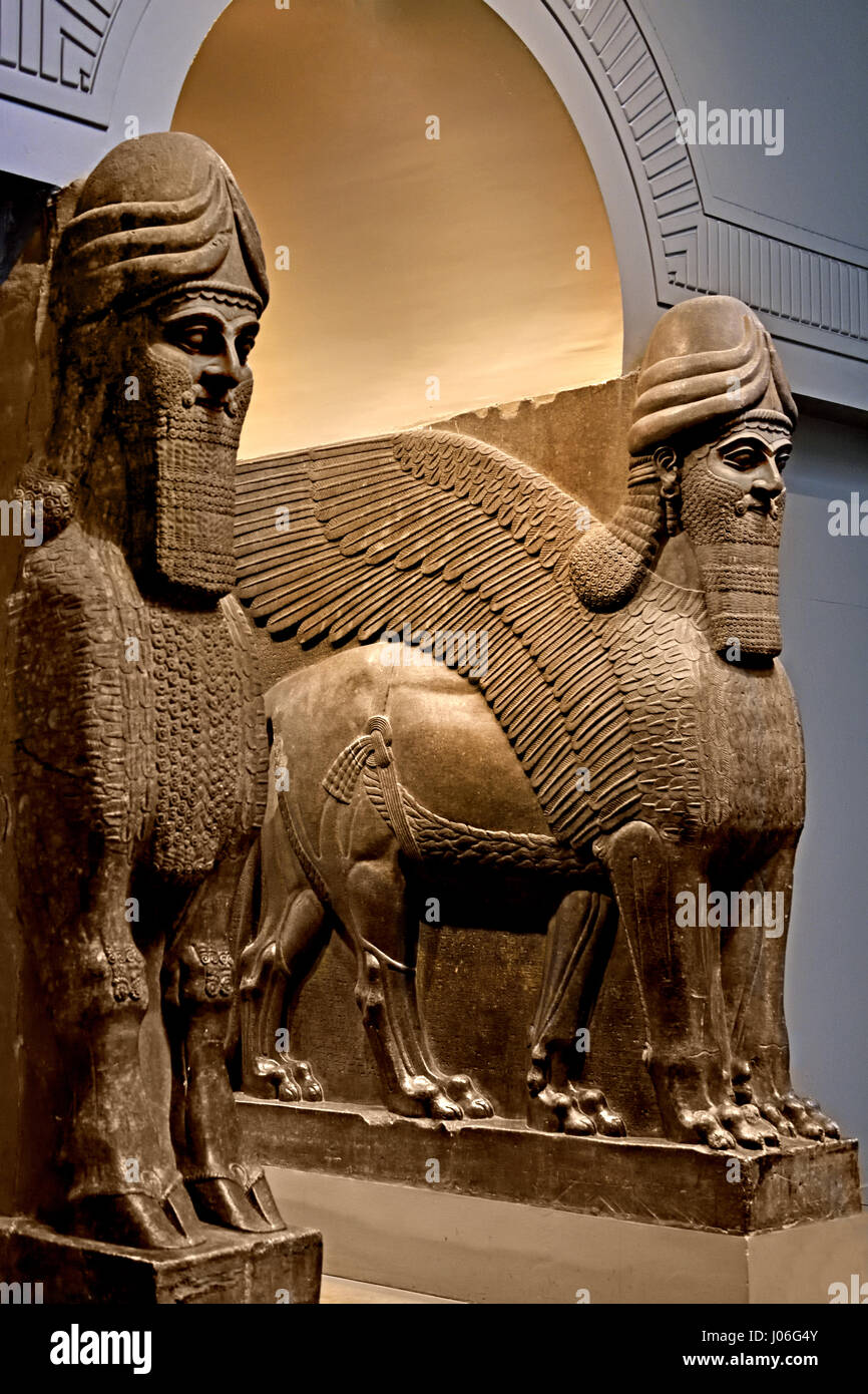 Statua leone alato volto umano del nord ovest del Palazzo Reale di Ashurnasirpal II Nimrud 883-859 A.C. Mesopotamia Iraq Kalhu Assiria Foto Stock