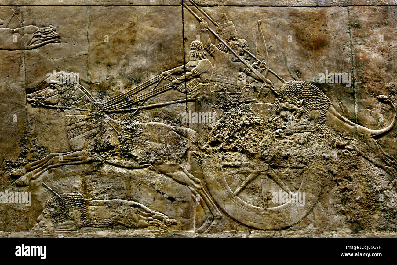 Il Royal Lion Hunt del re Ashurbanipal ( Ashurbanipal uccidere un leone ) dal Palazzo Nord di Ninive Mesopotamia Iraq Assiria ( Assurbanipal o Ashshurbanipal, figlio di Esarhaddon e l'ultimo forte re dell'Impero Neo-Assyrian (934-609 BC ) dettaglio Foto Stock