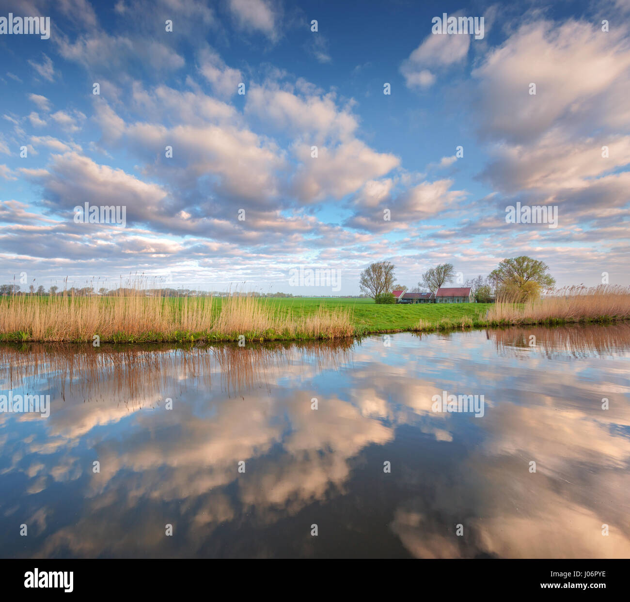 Colorato il cielo blu con nuvole riflettono in acqua, case vicino al canal, alberi, erba verde e giallo ance a sunrise in Paesi Bassi. Scena meravigliosa. Foto Stock