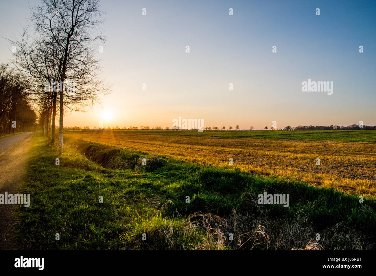 Vista al tramonto con colori diversi campo Foto Stock