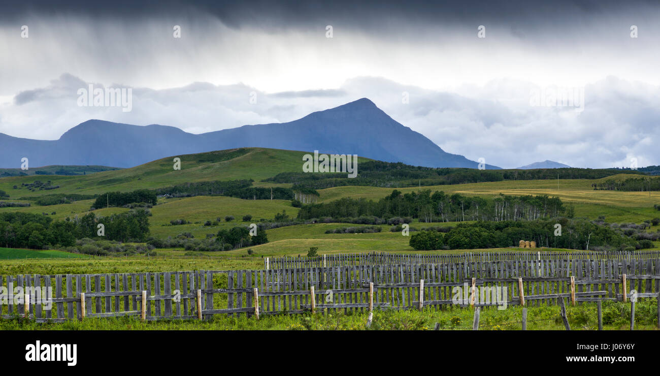 Vista panoramica della staccionata in legno a livello di azienda, dei rulli di estrazione Creek, Southern Alberta, Alberta, Canada Foto Stock
