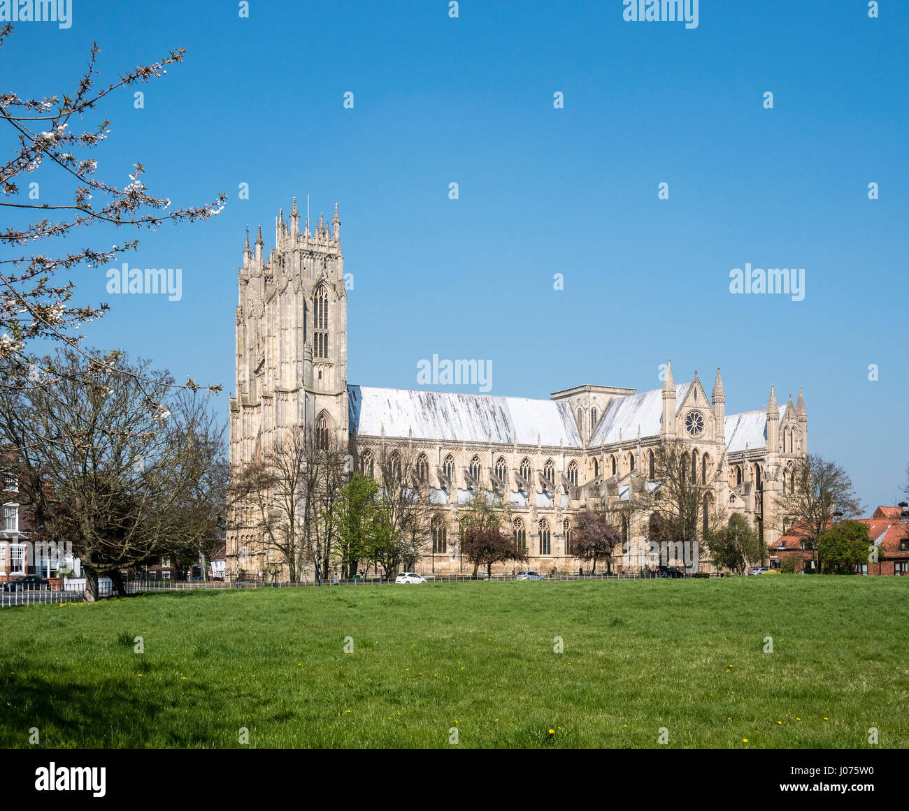 Beverley Minster East Yorkshire UK grandi della chiesa di Inghilterra la Chiesa Parrocchiale costruita a partire dal 1220 all'inizio inglese e perpendicolare stili. Foto Stock