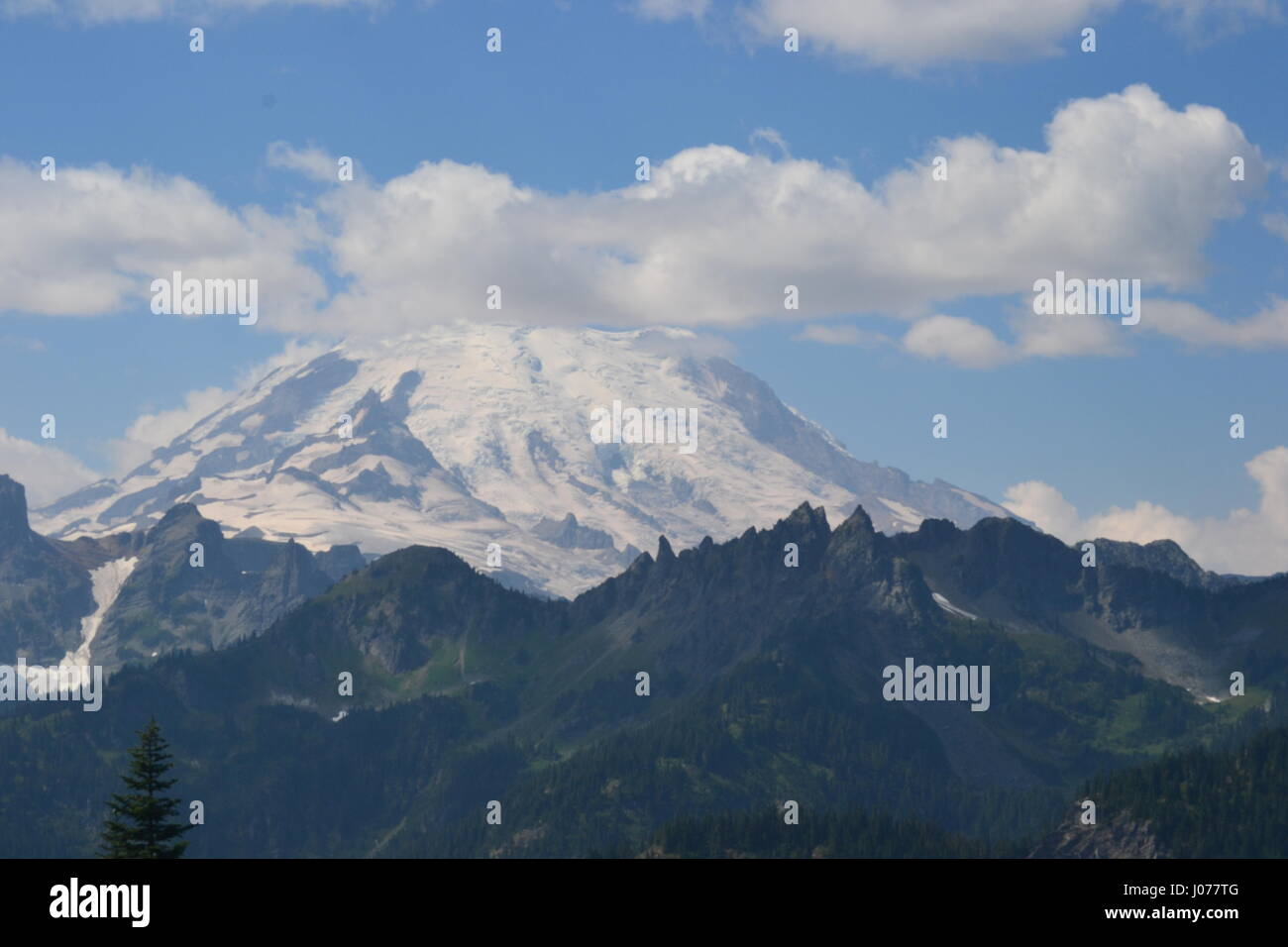 Gloriosa Mt Rainier Foto Stock