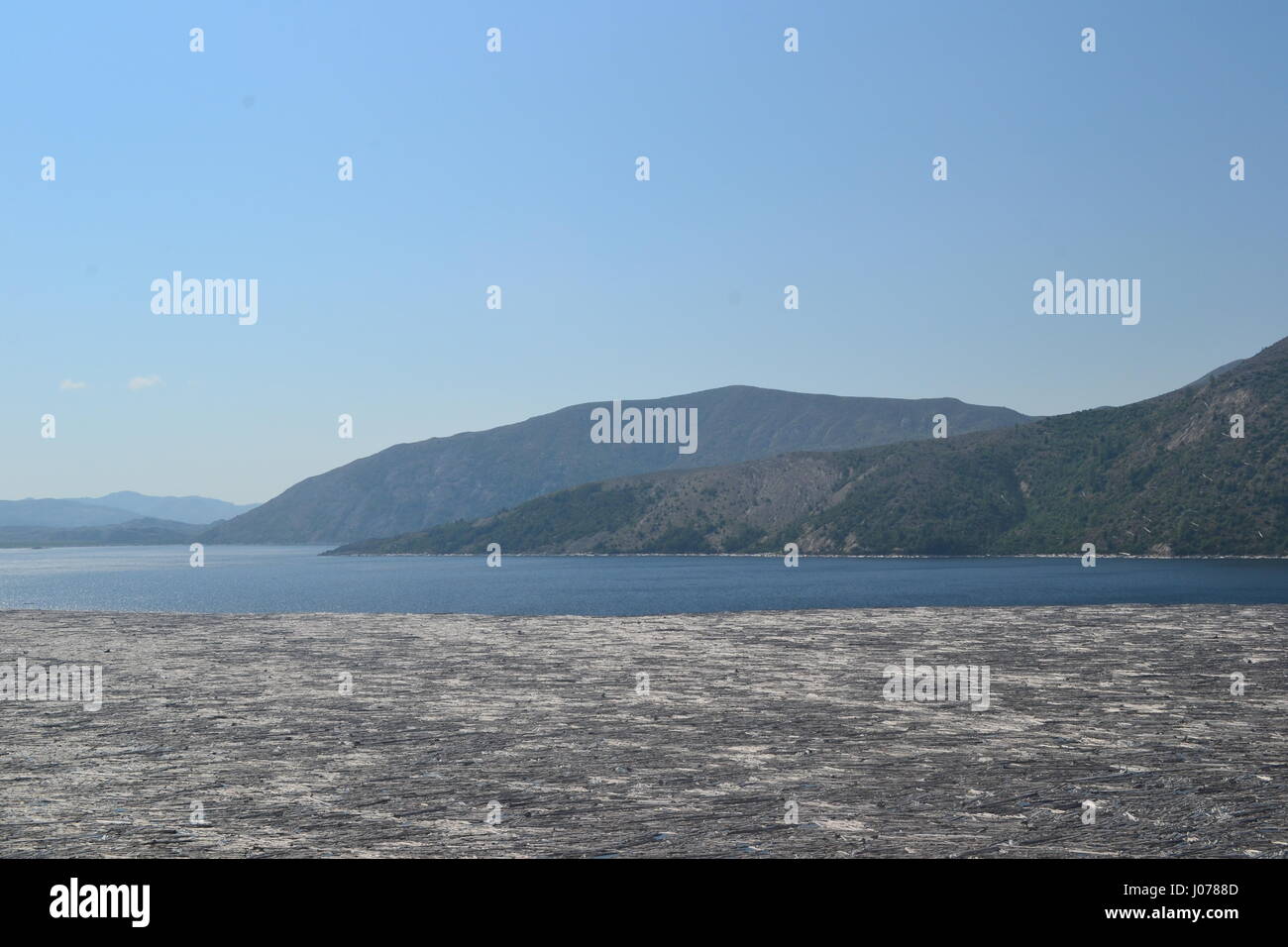 Spirit Lake piena di registri dall'eruzione del Monte Saint Helens Foto Stock