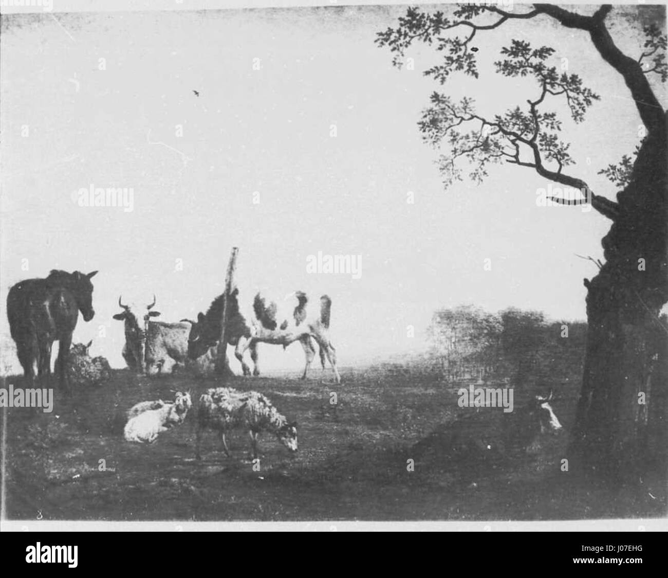 Il Gemäldegalerie alte Meister di Dresda ospita capolavori dell'arte europea, tra cui opere del XVI secolo. Questa collezione include dipinti di artisti famosi, che mostrano i temi religiosi e culturali del periodo. Foto Stock