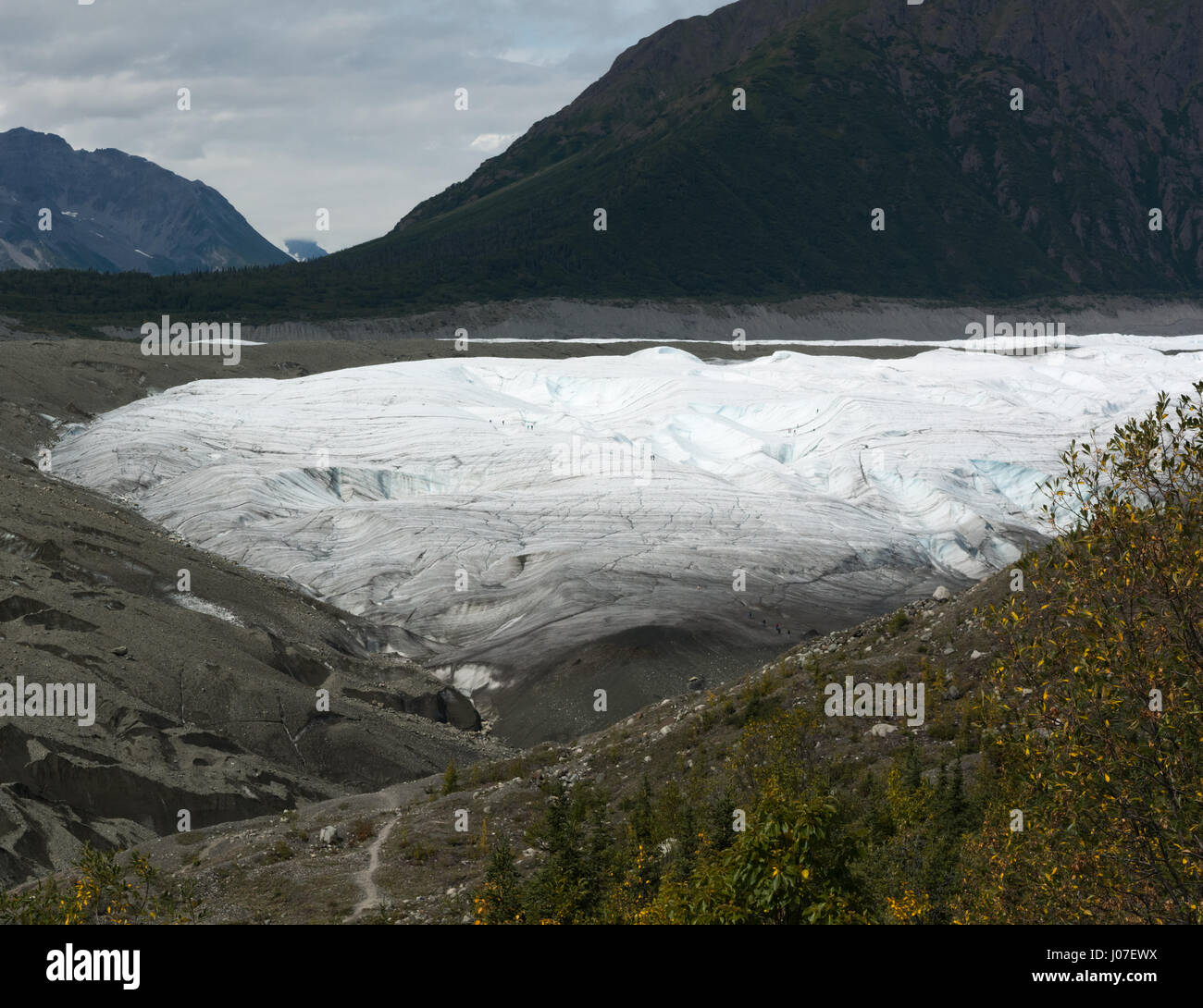 Radice panorama sul ghiacciaio Foto Stock