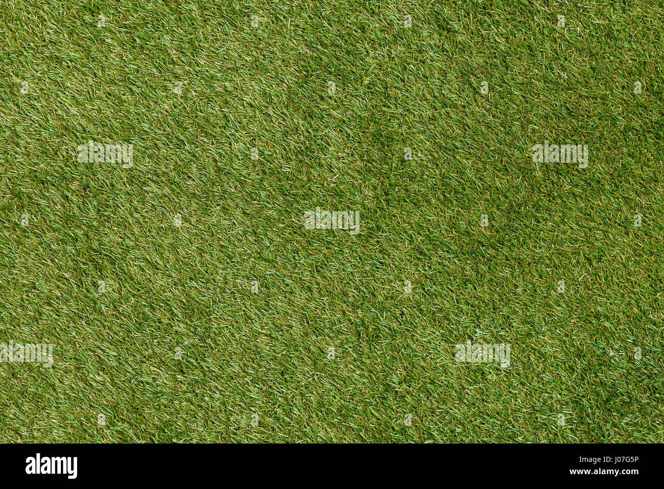 Close up di plastica di erba artificiale Foto Stock