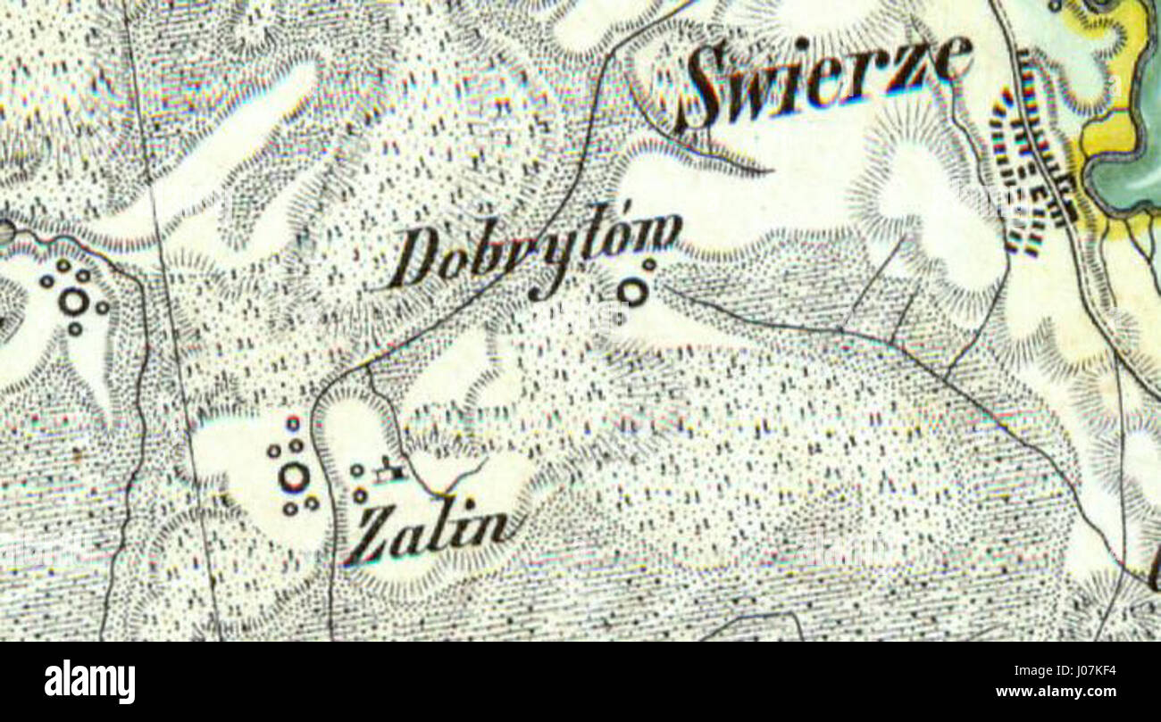 Questa mappa del XIX secolo di Dobrylów, un villaggio in Polonia, disegnata da D.G. Reymanna, mostra la disposizione dettagliata e le caratteristiche geografiche dell'area durante quel periodo. Foto Stock