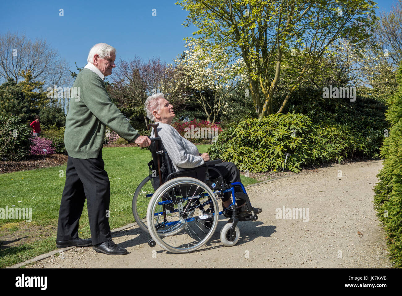 Ritirato il marito prendendo anziani disabili moglie in carrozzella per una passeggiata nel parco in una giornata di sole in primavera Foto Stock