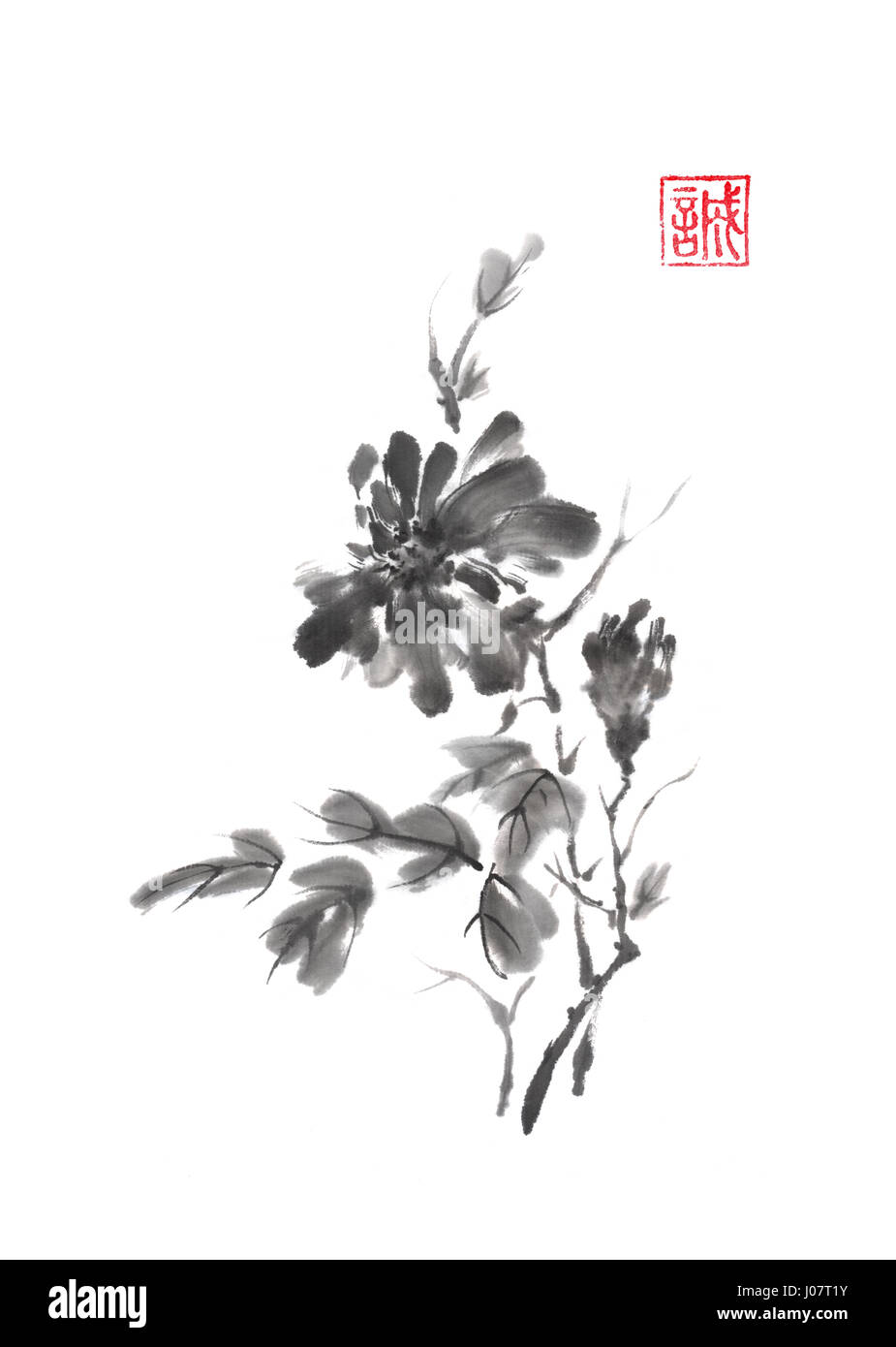 Giapponese originale stile sumi-e crisantemo ramo pittura di inchiostro. Foto Stock