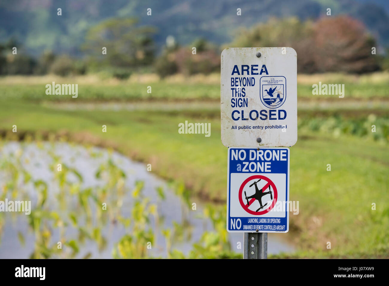 Zona al di là di questo segno chiuso, nessuna zona Drone, Hanalei National Wildlife Refuge, segnaletica, Kauai, Hawaii, STATI UNITI D'AMERICA Foto Stock